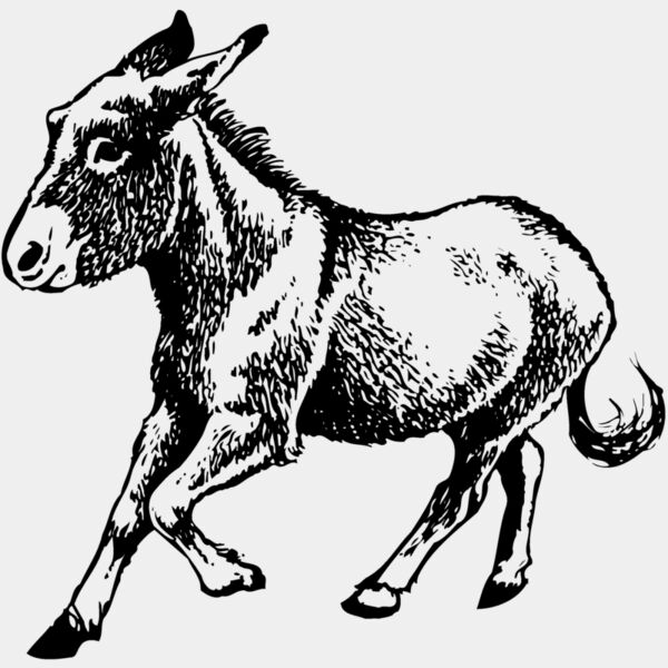 BURRO011 Thumbnail