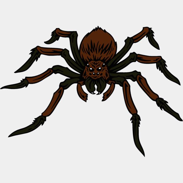 esspider004clr Thumbnail