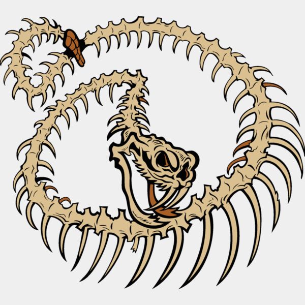 snake skeleton Thumbnail