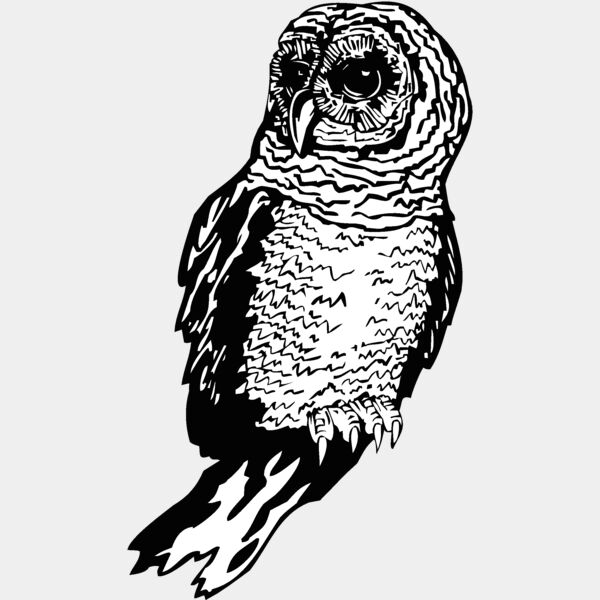 owl Thumbnail