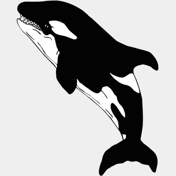 killerwhale01 Thumbnail