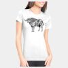 Junior Fit Cotton Boyfriend T-Shirt Thumbnail