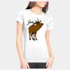 Junior Fit Cotton Boyfriend T-Shirt Thumbnail