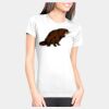 Junior Fit Cotton Boyfriend T-Shirt Thumbnail