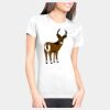 Junior Fit Cotton Boyfriend T-Shirt Thumbnail