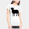 Junior Fit Cotton Boyfriend T-Shirt Thumbnail