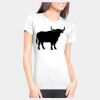 Junior Fit Cotton Boyfriend T-Shirt Thumbnail