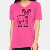 Missy's Relaxed Jersey Short-Sleeve V-Neck T-Shirt Thumbnail